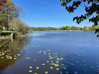 Ferienhaus Ystad  13