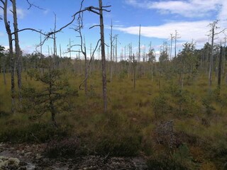 Vakantiehuis Ingarö  18