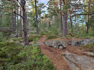 Vakantiehuis Ingarö  20