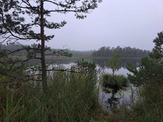 Vakantiehuis Ingarö  22