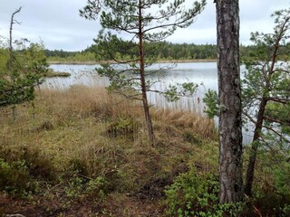 Vakantiehuis Ingarö  7