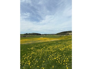 die wunderschöne Umgebung lädt ein auf Mehr