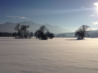 Winterwanderung am Chiemsee