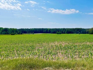 Vakantiehuis Buitenaudio-opname 9