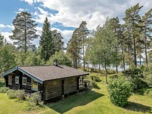 Holiday house 4 star holiday home in YXLAN - Vaettersoe - image1
