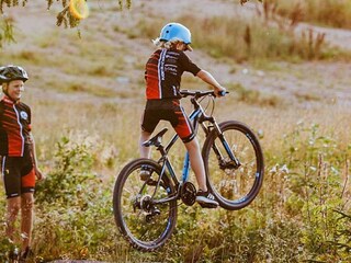 Holiday house Virserum  17