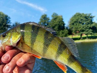 Vakantiehuis Grisslehamn  26