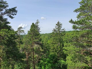 Ferienhaus Mellerud  10