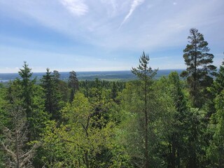 Vakantiehuis Mellerud  12