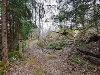 Ferienhaus Mellerud  8