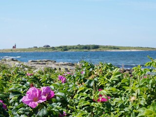 Vakantiehuis Halmstad  16