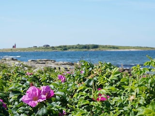 Holiday house Halmstad  18