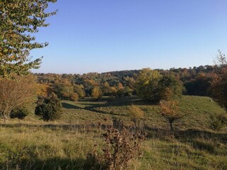 Ferienhaus Kivik  24