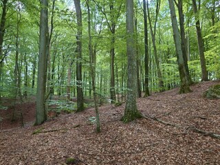 Holiday house Kivik  24