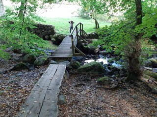 Ferienhaus Kivik  18