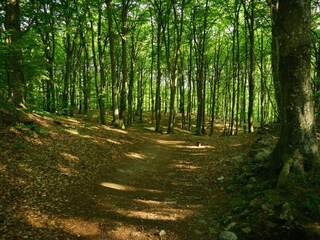 Ferienhaus Kivik  11