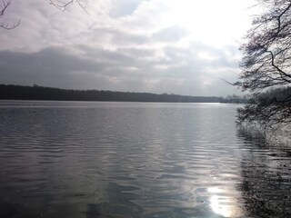 Ferienhaus Kivik  15