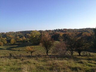 Ferienhaus Kivik  32