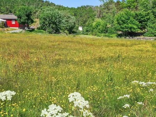 Holiday house Risør  22