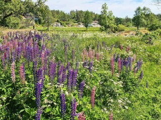 Ferienhaus Risør  55