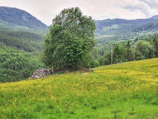 Vakantiehuis Risør  46