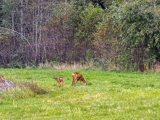 Holiday house Risør  56