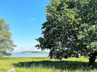 Ferienhaus Göteborg Außenaufnahme 2