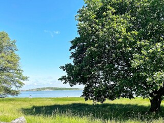 Vakantiehuis Göteborg Buitenaudio-opname 2