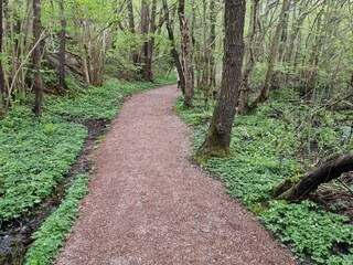 Ferienhaus Göteborg  26