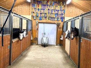 Ferienhaus Welt Außenaufnahme 4