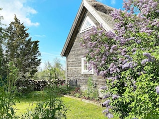 Ferienhaus Löttorp Außenaufnahme 8