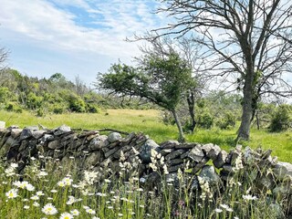 Vakantiehuis Löttorp Buitenaudio-opname 1