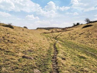 Vakantiehuis Hvalpsund  38