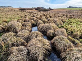Maison de vacances Hvalpsund  39
