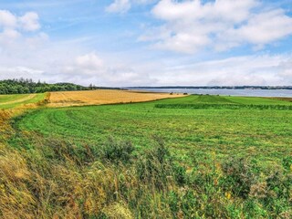 Vakantiehuis Hvalpsund  40