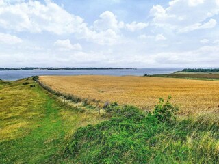 Ferienhaus Hvalpsund  43