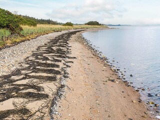 Vakantiehuis Hvalpsund  23