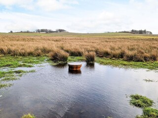 Vakantiehuis Hvalpsund  26