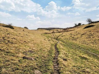 Casa per le vacanze Hvalpsund  41