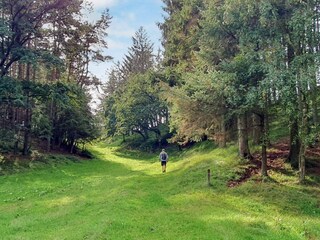 Casa per le vacanze Hvalpsund  14