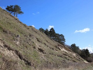 Casa per le vacanze Ølsted  37