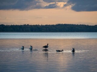 Casa per le vacanze Ølsted  48