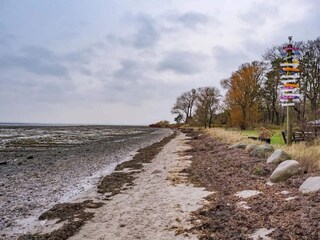 Vakantiehuis Ølsted  17