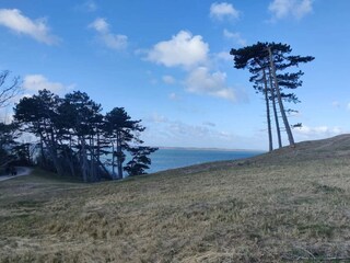 Ferienhaus Ølsted  48