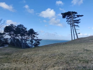 Maison de vacances Ølsted  9
