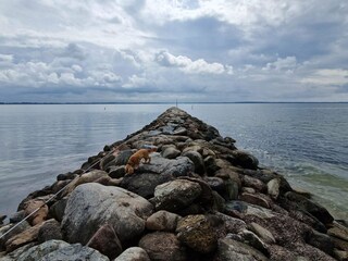 Casa de vacaciones Ørding  24