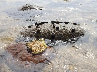 Casa de vacaciones Ørding  26