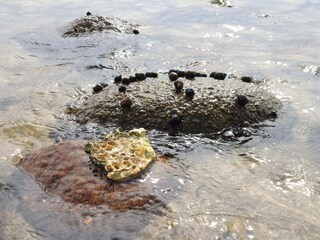 Casa de vacaciones Ørding  36