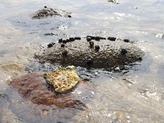 Holiday house Ørding  36