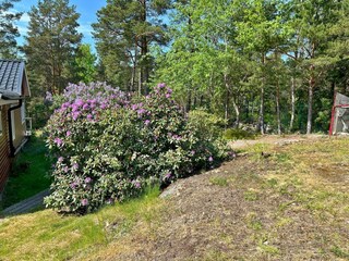 Ferienhaus Värmdö Außenaufnahme 14